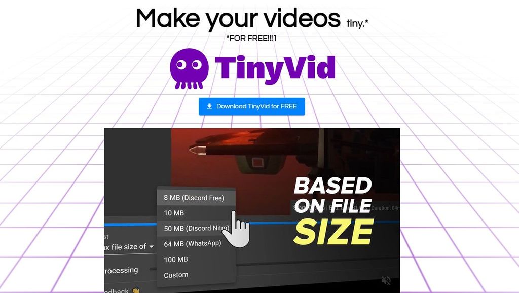 TinyVid