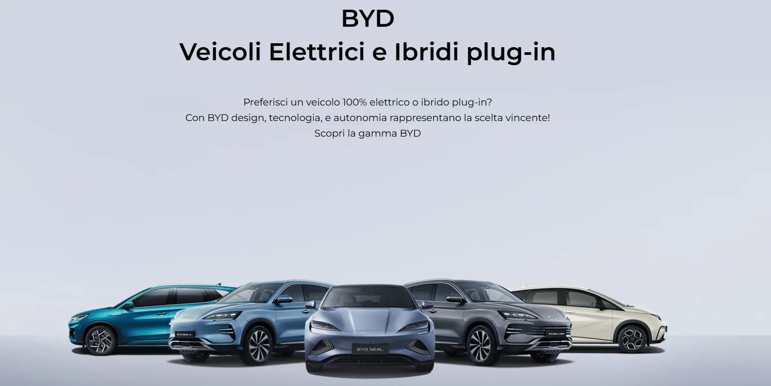 BYD Cover